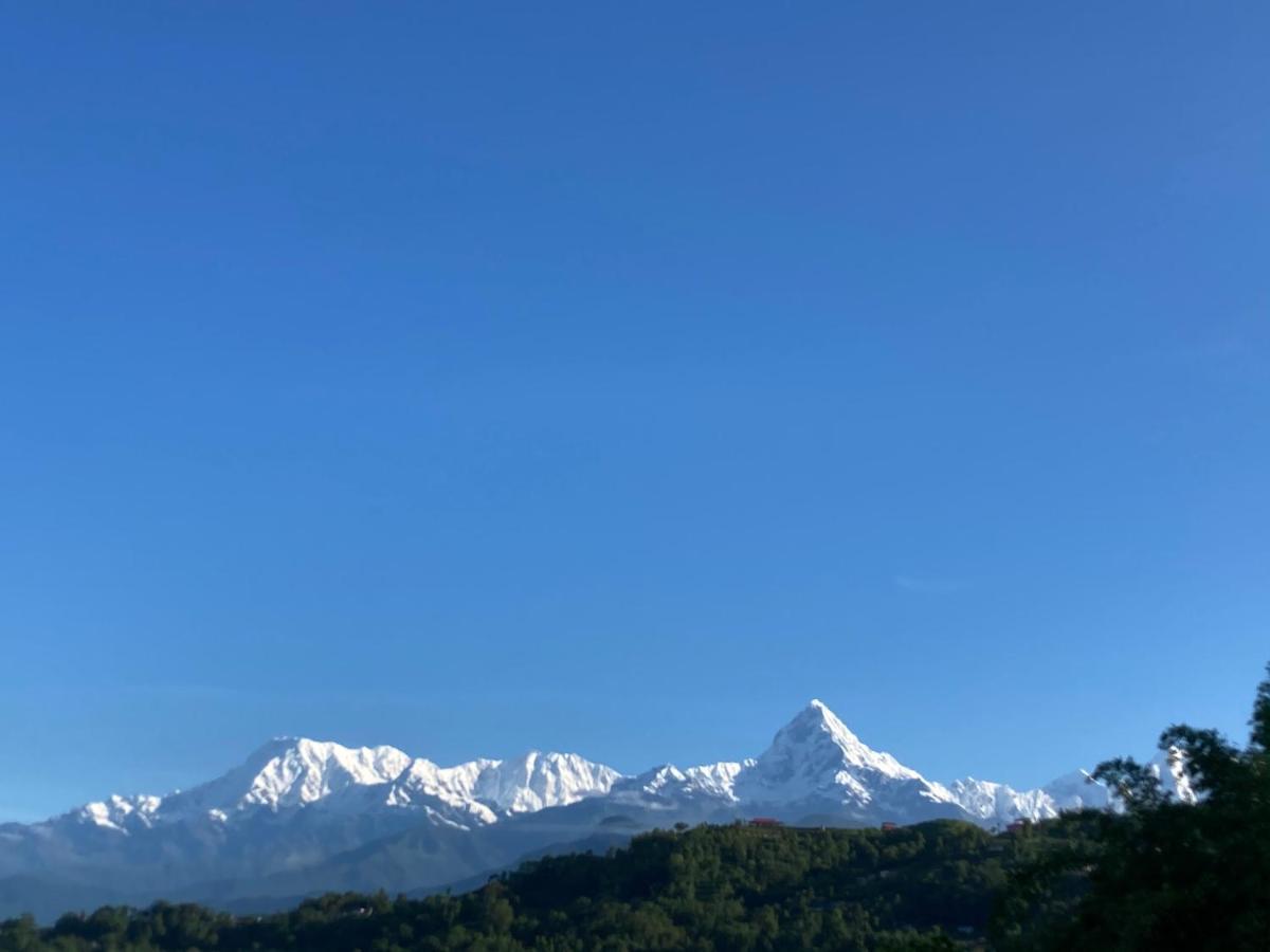 Hotel Nightingale Pokhara Exterior photo